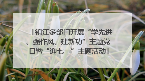 镇江多部门开展“学先进、强作风、建新功”主题党日暨“迎七一”主题活动
