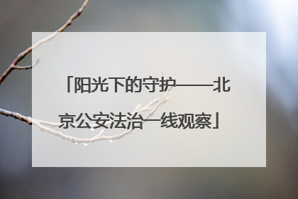 阳光下的守护——北京公安法治一线观察