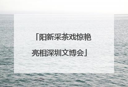 阳新采茶戏惊艳亮相深圳文博会