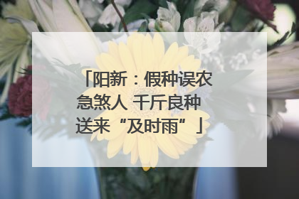 阳新：假种误农急煞人 千斤良种送来“及时雨”