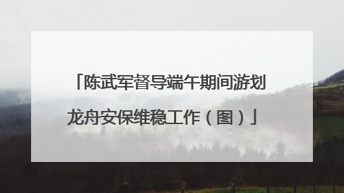 陈武军督导端午期间游划龙舟安保维稳工作(图)