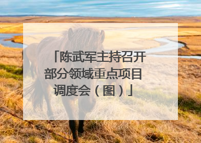 陈武军主持召开部分领域重点项目调度会（图）