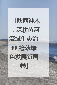 陕西神木：深耕黄河流域生态治理 绘就绿色发展新画卷