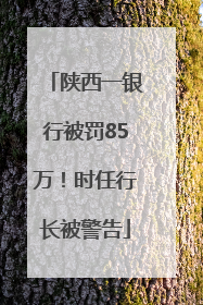 陕西一银行被罚85万！时任行长被警告