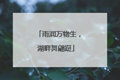 雨润万物生，湖畔舞翩跹