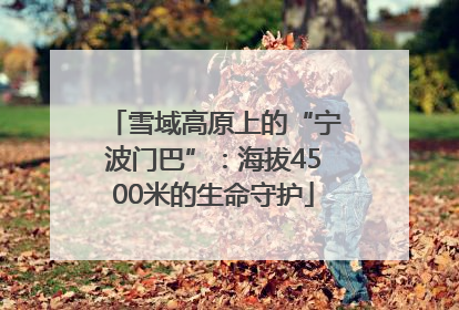 雪域高原上的“宁波门巴”：海拔4500米的生命守护