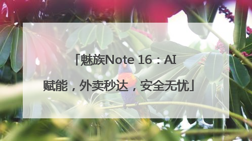 魅族Note 16：AI赋能，外卖秒达，安全无忧