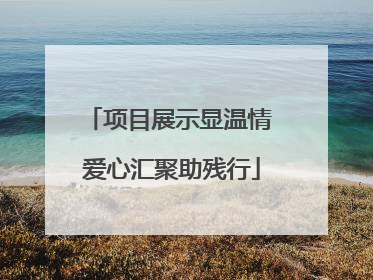 项目展示显温情 爱心汇聚助残行