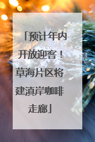 预计年内开放迎客！草海片区将建滇岸咖啡走廊