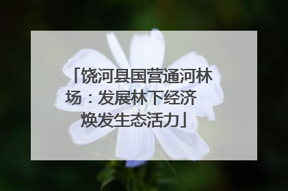 饶河县国营通河林场：发展林下经济 焕发生态活力
