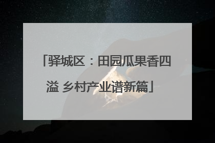 驿城区：田园瓜果香四溢 乡村产业谱新篇