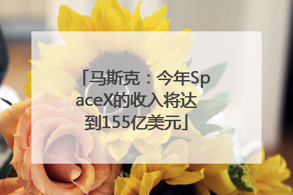 马斯克：今年SpaceX的收入将达到155亿美元