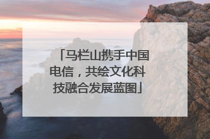 马栏山携手中国电信，共绘文化科技融合发展蓝图