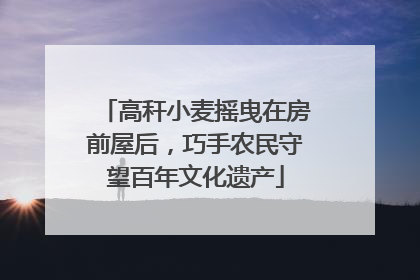 高秆小麦摇曳在房前屋后，巧手农民守望百年文化遗产