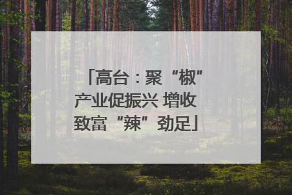 高台：聚“椒”产业促振兴 增收致富“辣”劲足