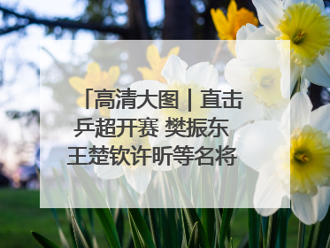 高清大图｜直击乒超开赛 樊振东王楚钦许昕等名将悉数亮相