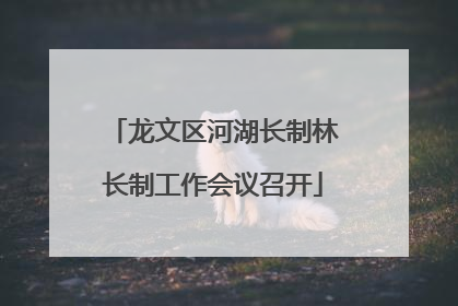 龙文区河湖长制林长制工作会议召开