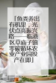 鱼粪养出有机果，光伏点亮振兴路——临港区草庙子镇零碳循环农业产业园投产在即