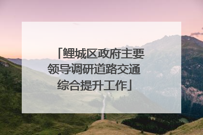 鲤城区政府主要领导调研道路交通综合提升工作