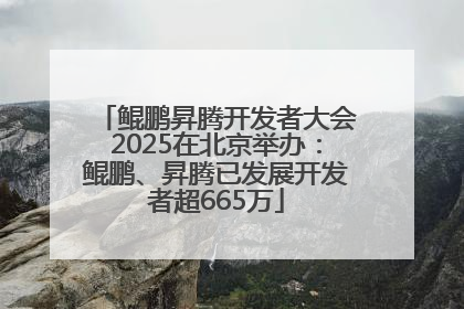鲲鹏昇腾开发者大会2025在北京举办：鲲鹏、昇腾已发展开发者超665万