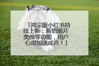 鸿蒙版小红书持续上新，新增图片美颜等功能，用户心愿加速成真！