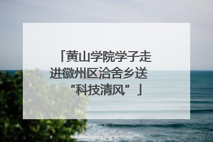 黄山学院学子走进徽州区洽舍乡送“科技清风”