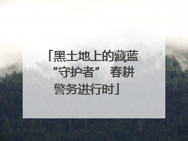 黑土地上的藏蓝“守护者” 春耕警务进行时