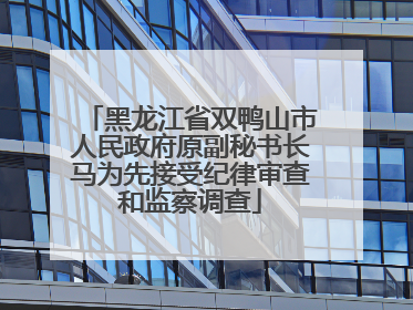 黑龙江省双鸭山市人民政府原副秘书长马为先接受纪律审查和监察调查