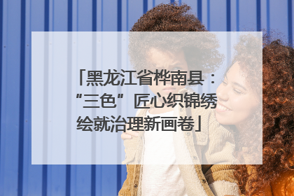 黑龙江省桦南县：“三色”匠心织锦绣 绘就治理新画卷