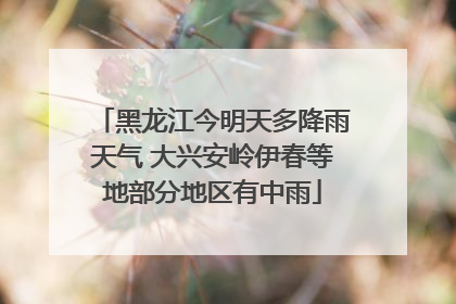 黑龙江今明天多降雨天气 大兴安岭伊春等地部分地区有中雨