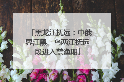 黑龙江抚远：中俄界江黑、乌两江抚远段进入禁渔期