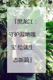 黑龙江：守护湿地瑰宝 绘就生态新篇