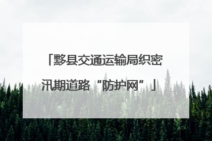 黟县交通运输局织密汛期道路“防护网”