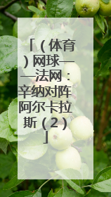 （体育）网球——法网：辛纳对阵阿尔卡拉斯（2）