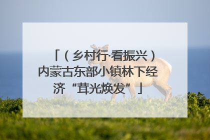 （乡村行·看振兴）内蒙古东部小镇林下经济“茸光焕发”
