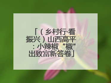 （乡村行·看振兴）山西高平：小辣椒“椒”出致富新答卷