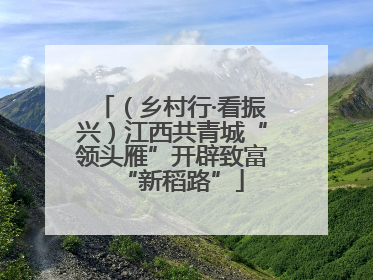 （乡村行·看振兴）江西共青城“领头雁”开辟致富“新稻路”