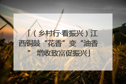 （乡村行·看振兴）江西铜鼓“花香”变“油香” 增收致富促振兴