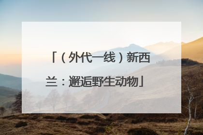（外代一线）新西兰：邂逅野生动物