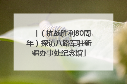 （抗战胜利80周年）探访八路军驻新疆办事处纪念馆
