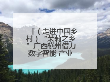 （走进中国乡村）“茉莉之乡”广西横州借力数字智能 产业升级香飘海外