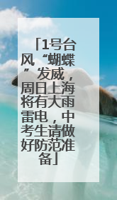 1号台风“蝴蝶”发威，周日上海将有大雨雷电，中考生请做好防范准备