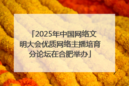 2025年中国网络文明大会优质网络主播培育分论坛在合肥举办