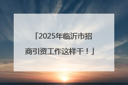 2025年临沂市招商引资工作这样干！