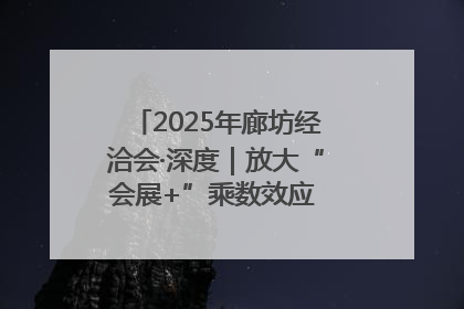 2025年廊坊经洽会·深度｜放大“会展+”乘数效应 打造消费新场景