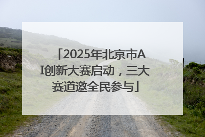 2025年北京市AI创新大赛启动，三大赛道邀全民参与