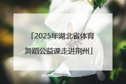 2025年湖北省体育舞蹈公益课走进荆州
