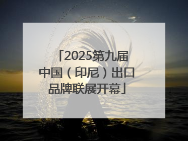 2025第九届中国（印尼）出口品牌联展开幕
