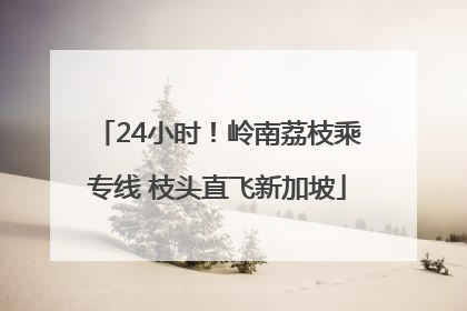 24小时！岭南荔枝乘专线 枝头直飞新加坡