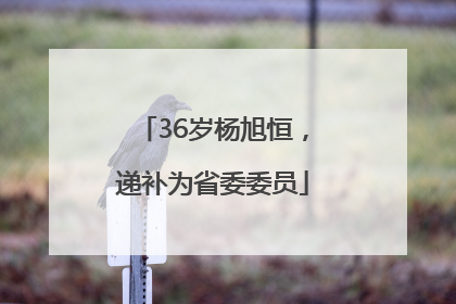 36岁杨旭恒，递补为省委委员